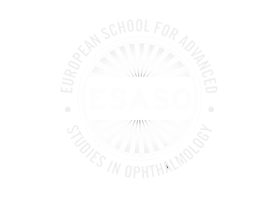 European School for Advanced Studies in Ophthalmology (ESASO) retina pathologies fellowship center