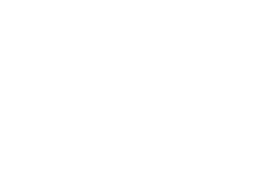 ISOC-International Society of Orthopaedic Centers