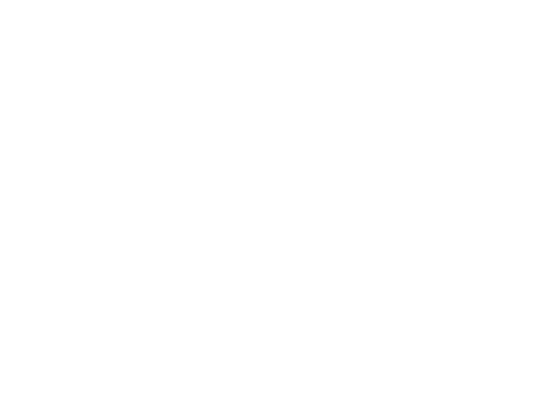 RIN, REȚEAUA I.R.C.C.S. DE NEUROȘTIINȚĂ ȘI NEUROREABILITARE