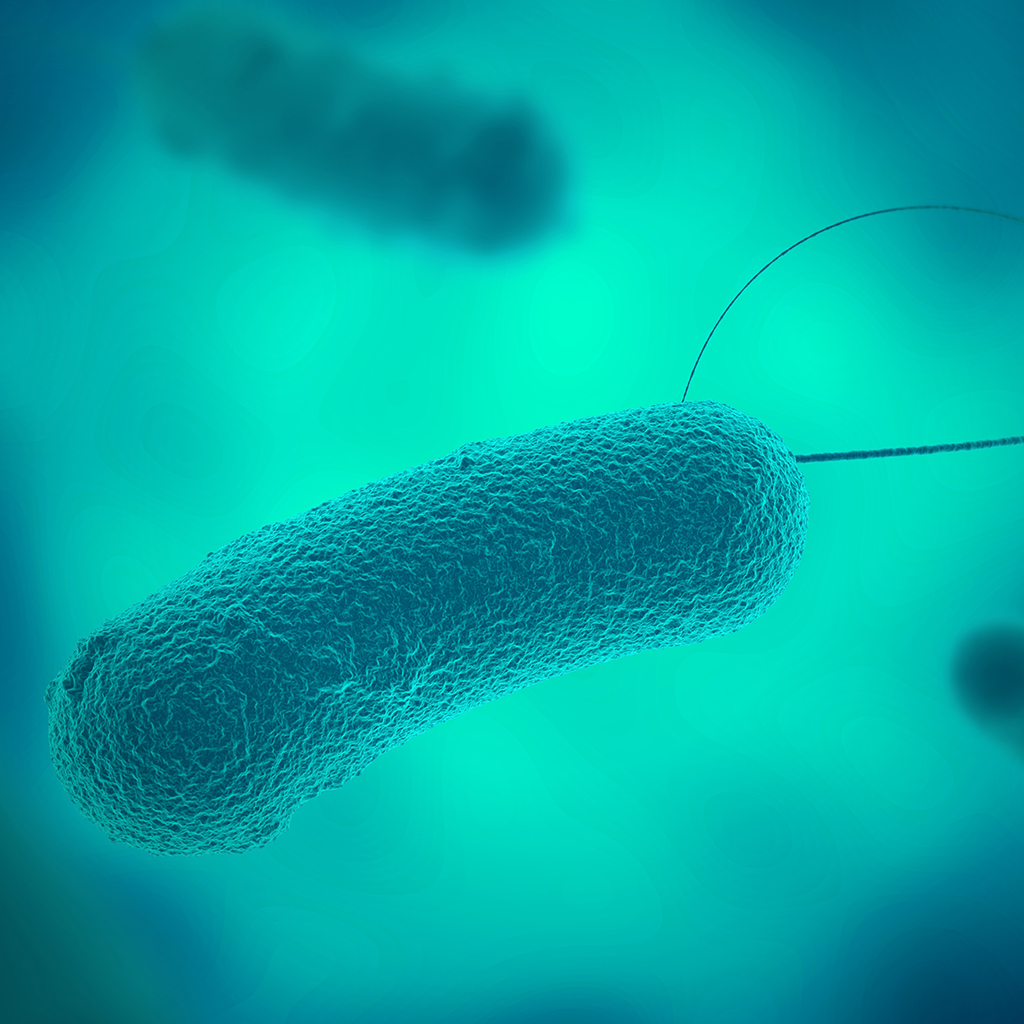 pierna Interesar Intenso Síntomas y tratamiento de la E. coli - GSD - un grupo de clínicas en Italia