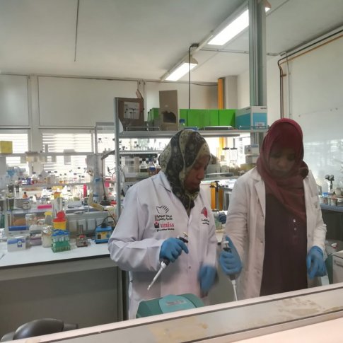 Поддержка медицинского образования в государственных учреждениях штата Кассала