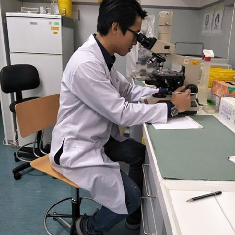 Mejora de los servicios sanitarios en unas zonas determinadas del centro de Vietnam y en la Universidad de Medicina y Farmacia de Hué